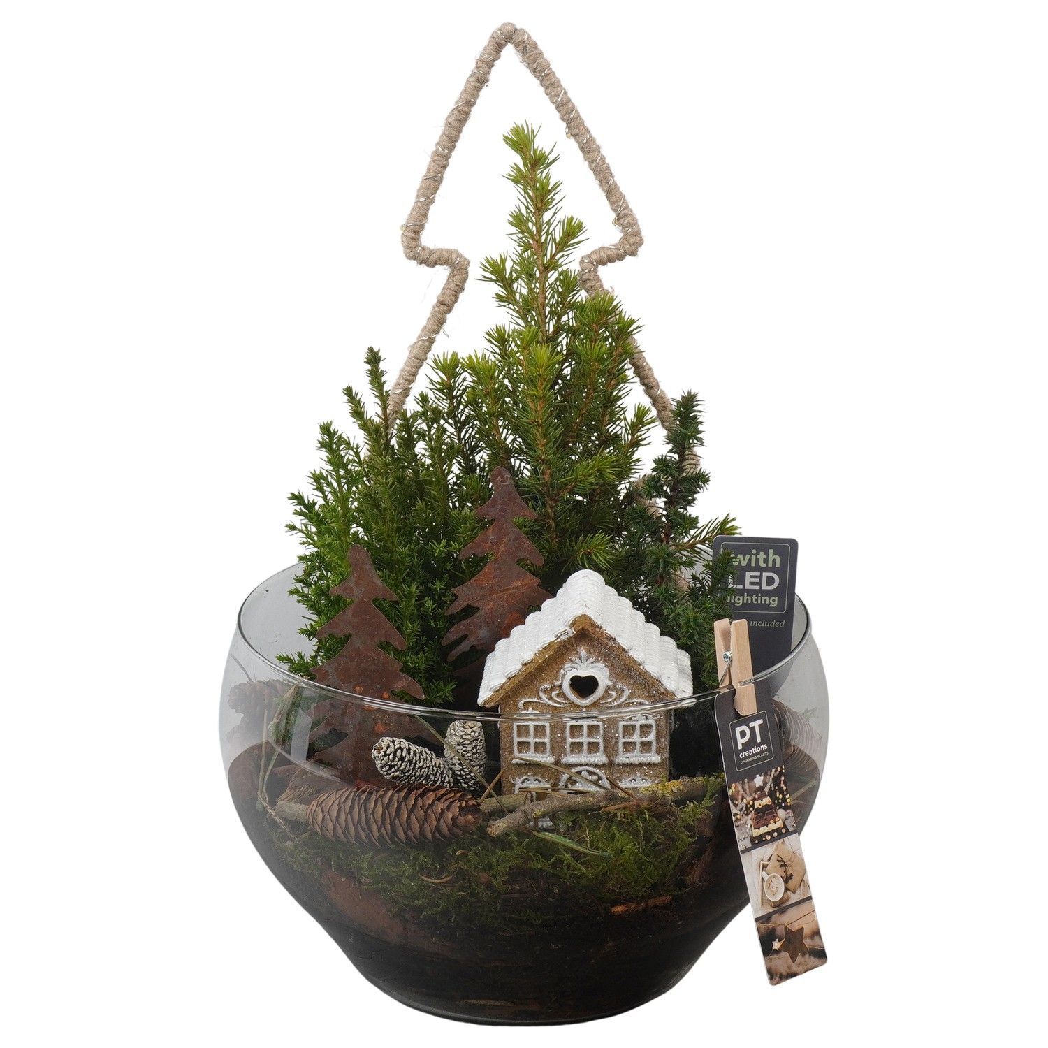 PTCWW6843 Arrangement Winter in glas schaal, D 23 cm