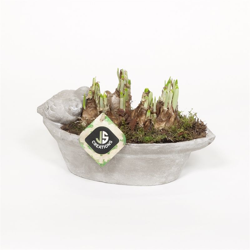 Cement ovaal vogelschaal gy 27x14cm, D 27 cm