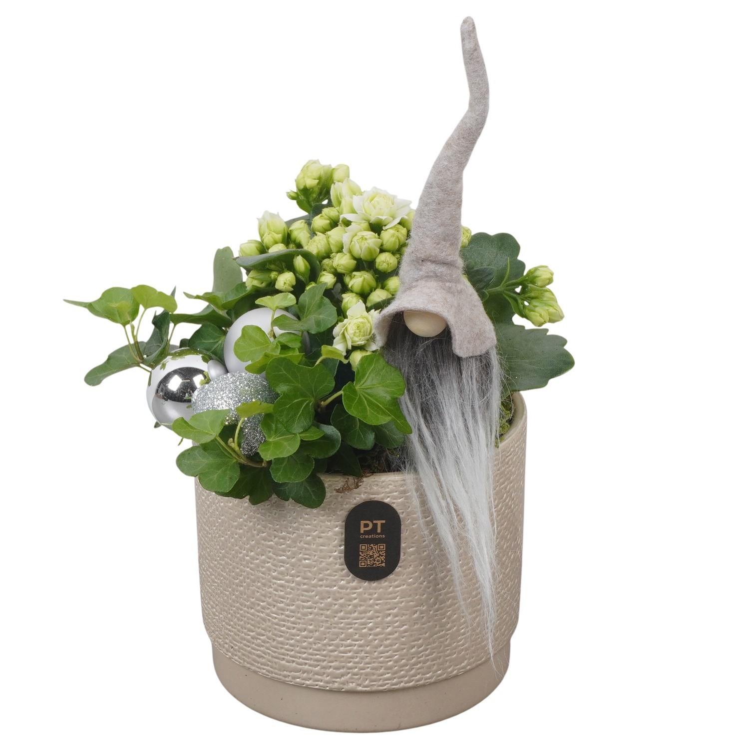 PTCHW7960 Arrangement Christmas White in keramiek pot, D 12