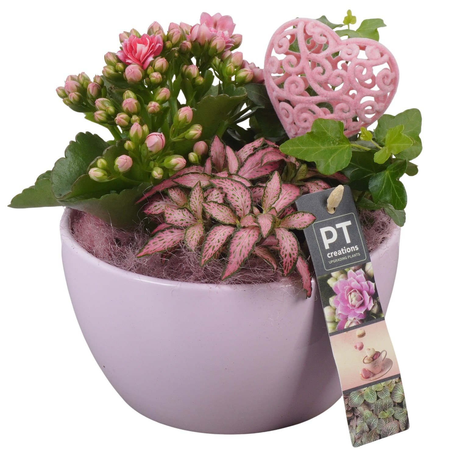 PTVMB2212 Arrangement Valentines-Mothersday in keramiek schaal, D 16