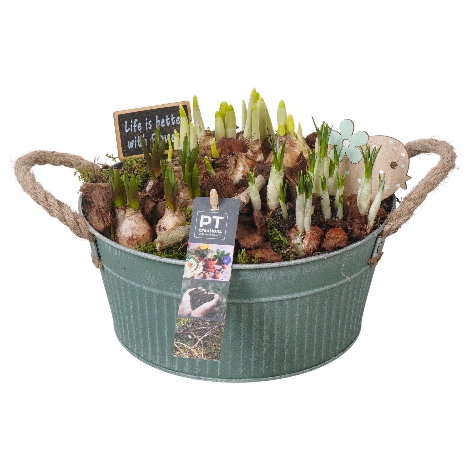 PTBM3779 Arrangement Flower Bulbs Mix in metalen pot, D 22