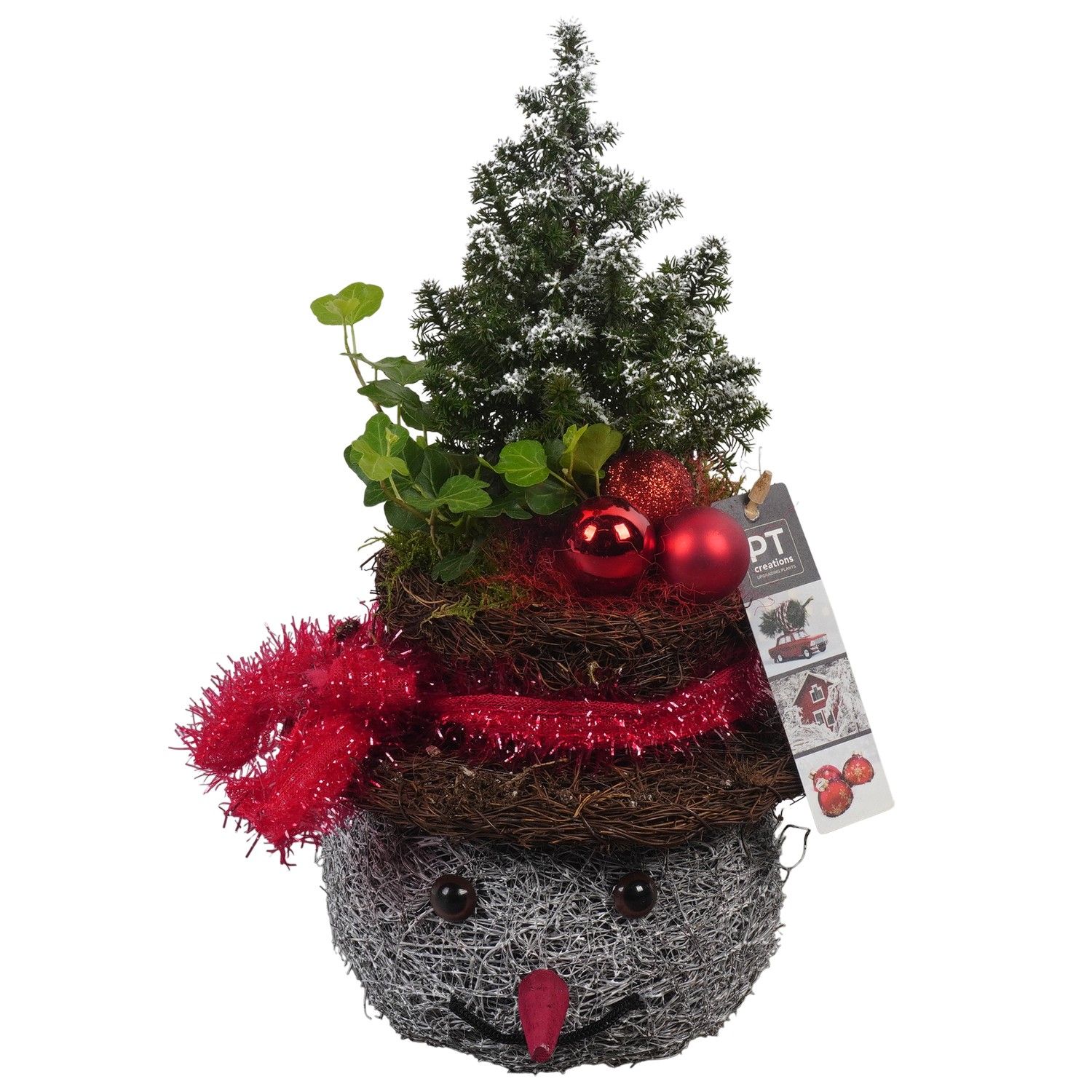 PTCHR7379 Arrangement Christmas Red in rieten mand, D 18 cm