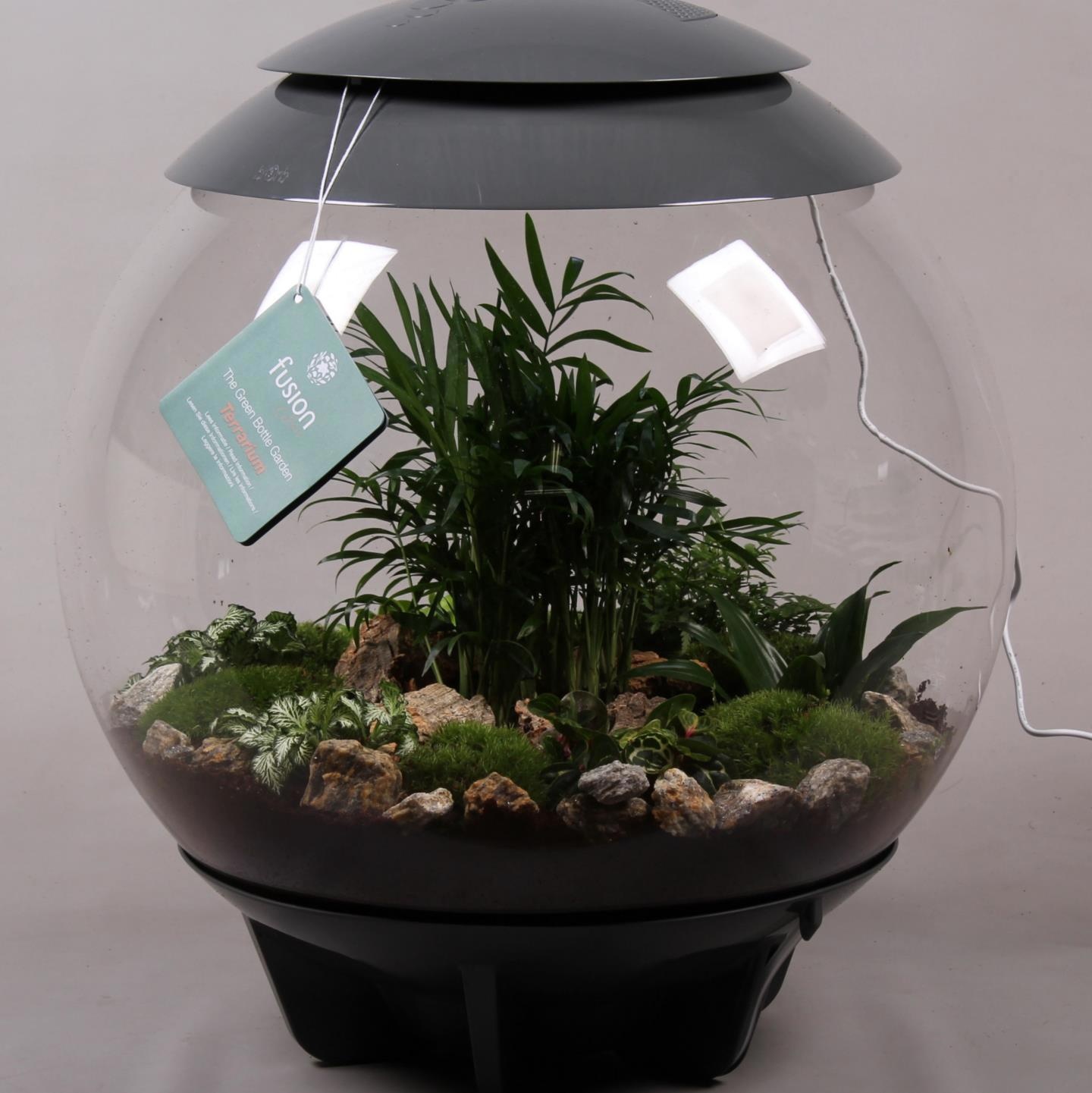 Terrarium Exclusive XXL grijs met arrangement, D 45