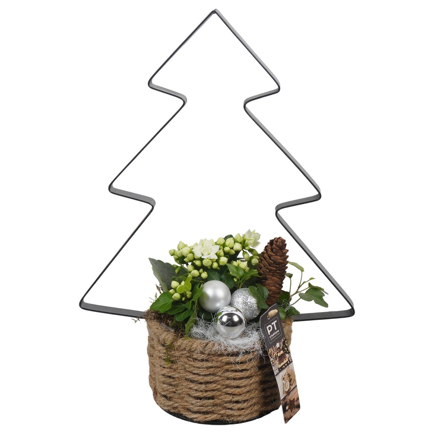 PTCHW4329 Arrangement Christmas White in touwmand met metaal, D 14 cm
