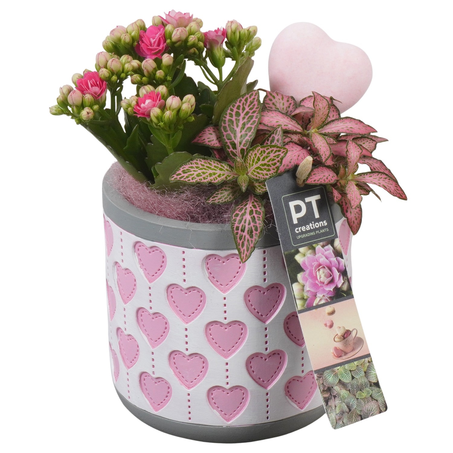 PTVMB2302 Arrangement Valentines-Mothersday in beton sierpot, D 11