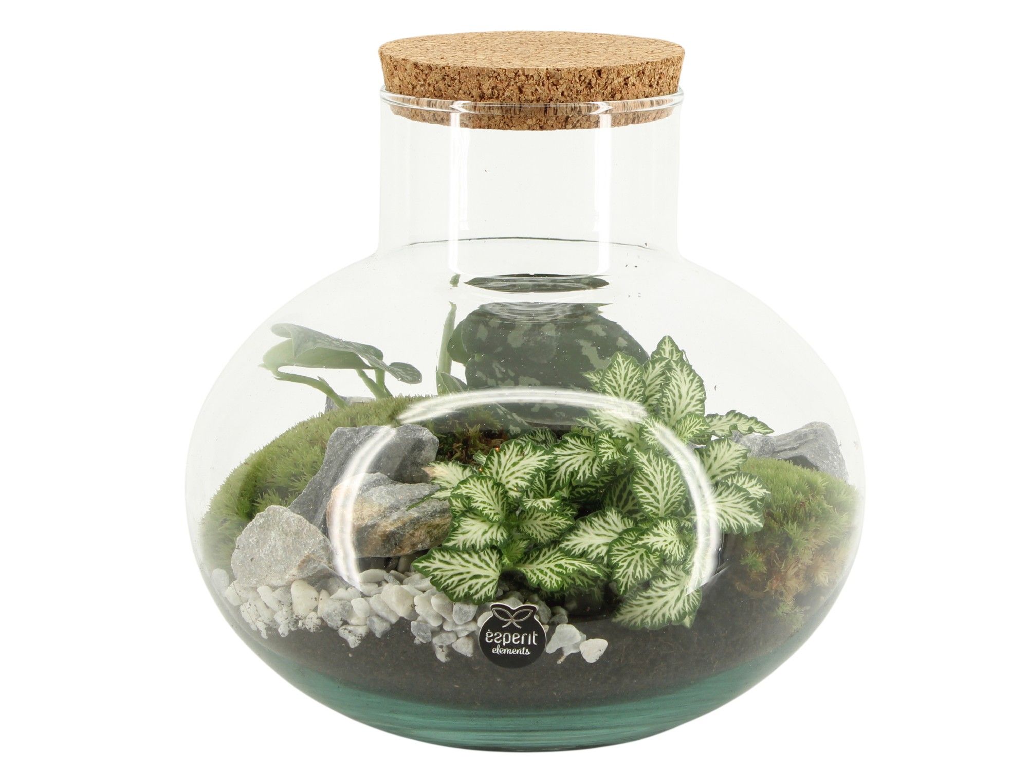 90706: Terrarium arrangement, D 23