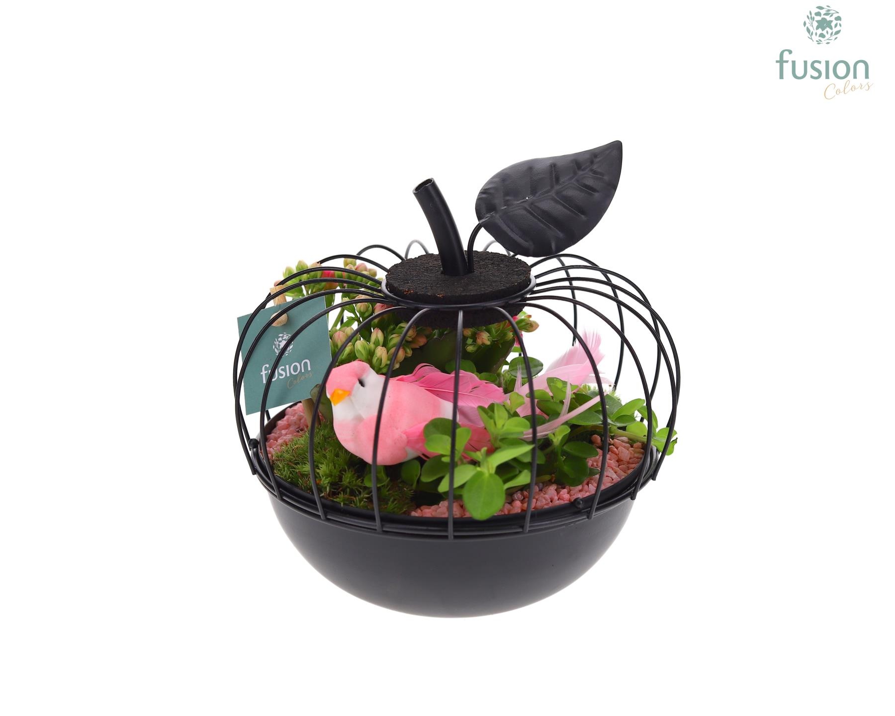 Metaal appel zwart Small met Arrangement, D 17