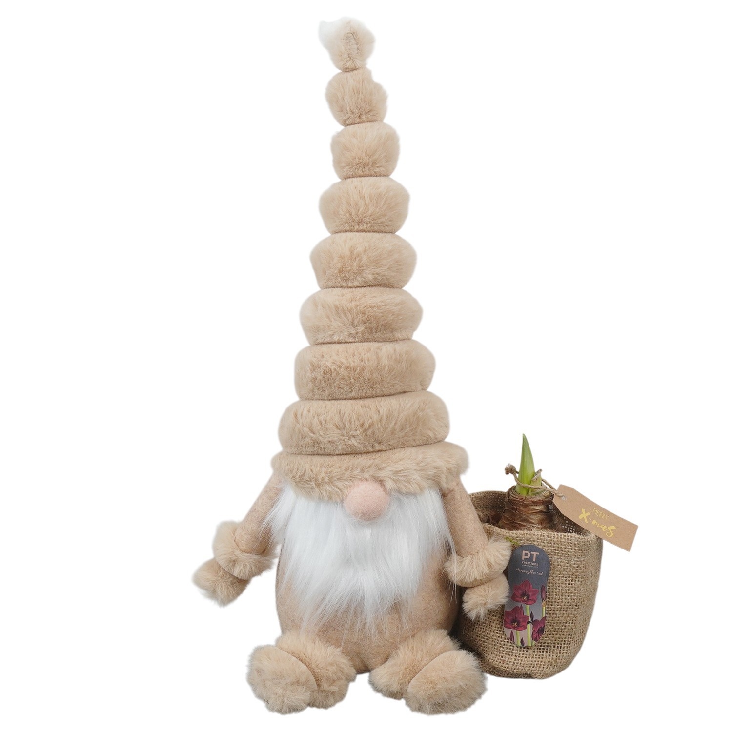 PTACH2486 Arrangement Amaryllis Christmas in stoffen gnome, D 24