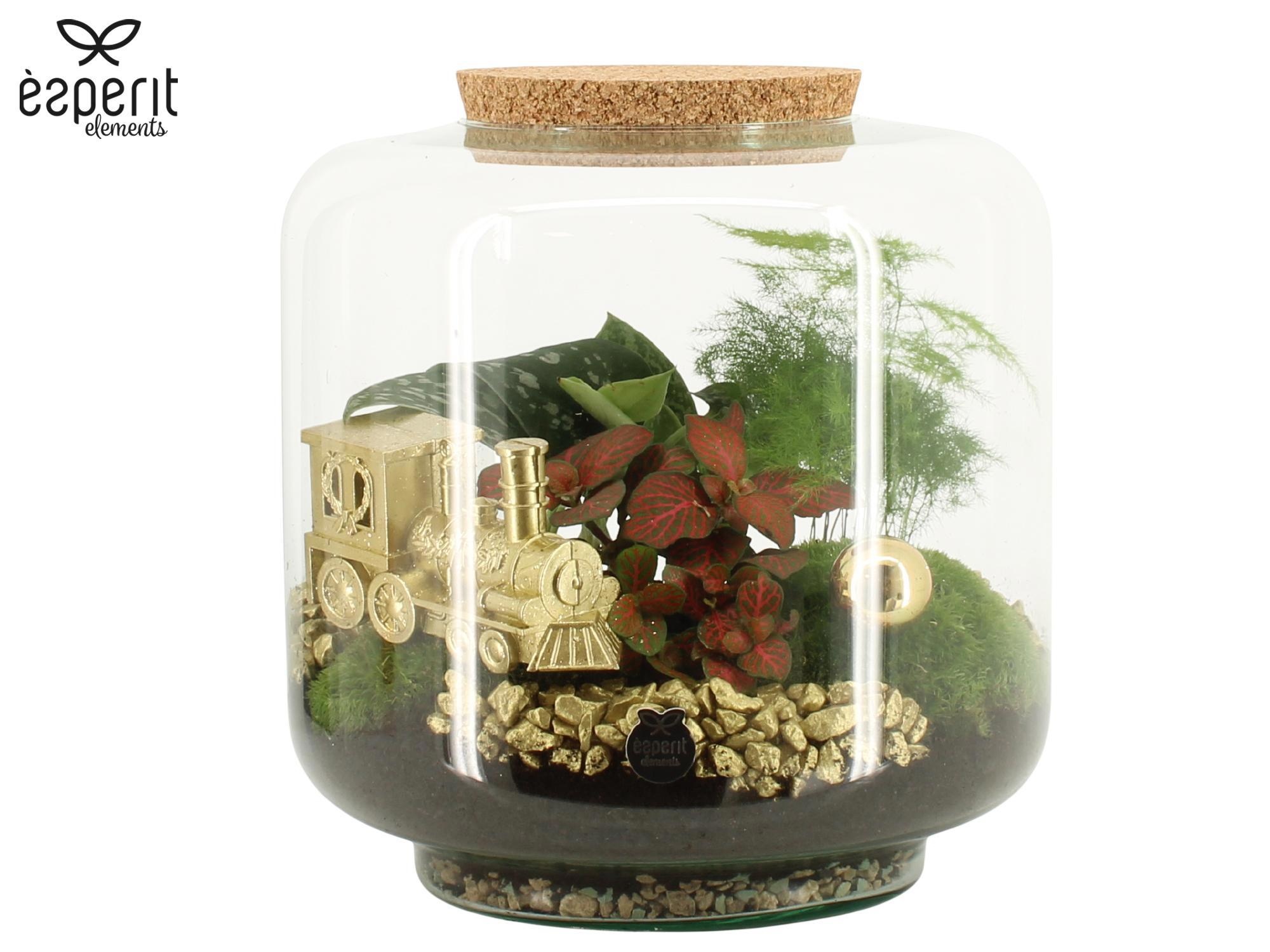 62063: X-mas terrarium, D 24