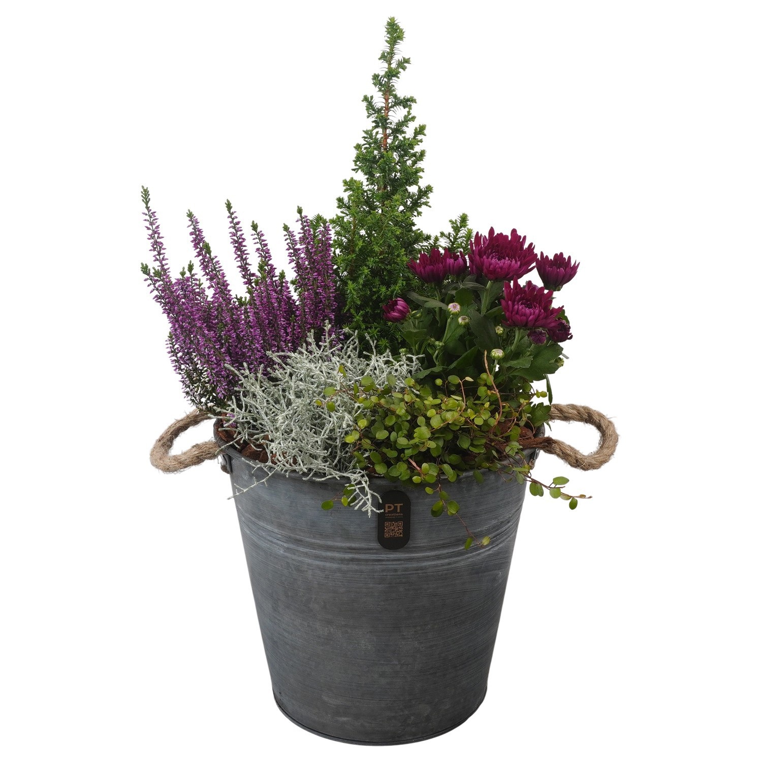 PTHO7630 Arrangement Autumn Outdoor in metalen pot, D 26