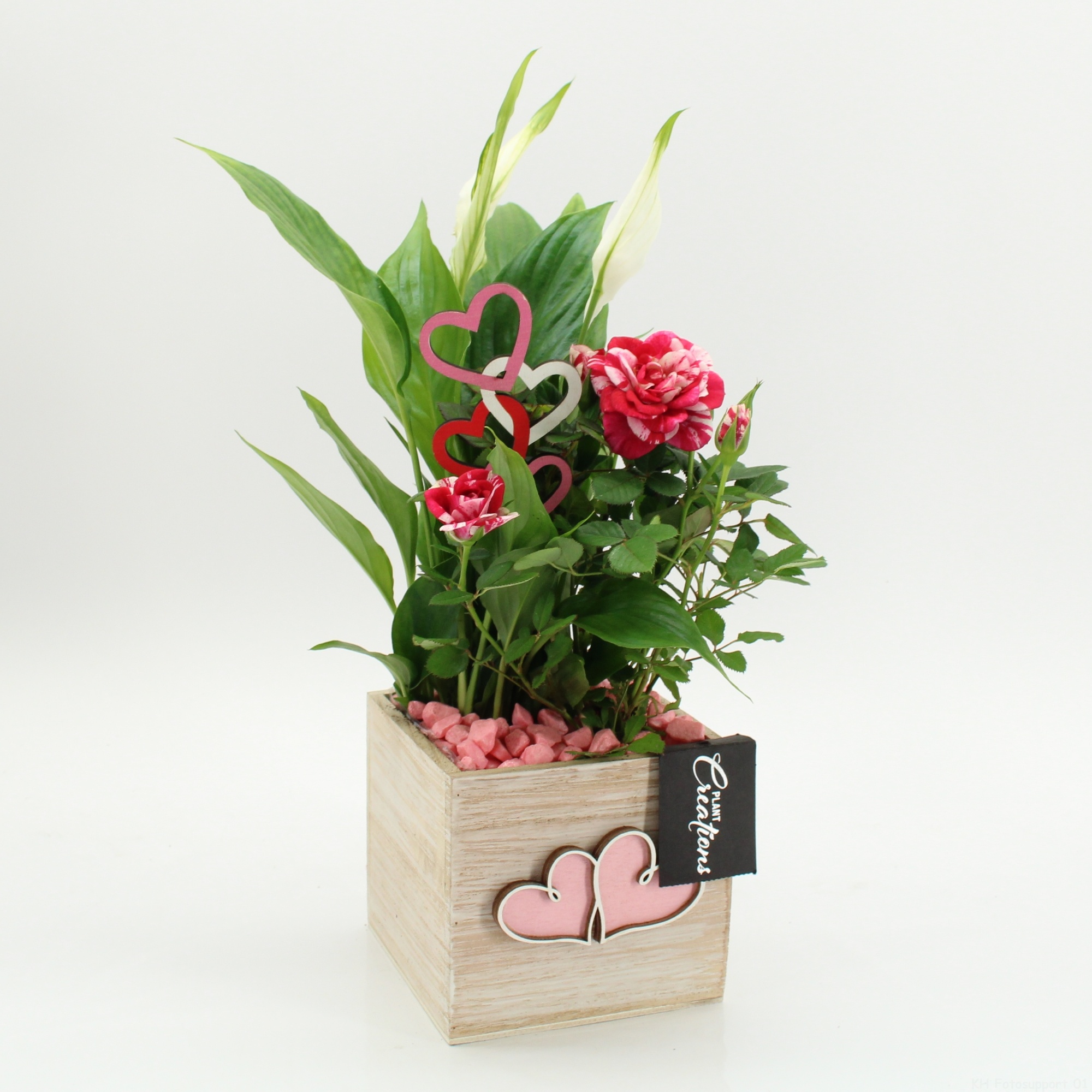 RMCR-2607 Romantic Essentials, D 11