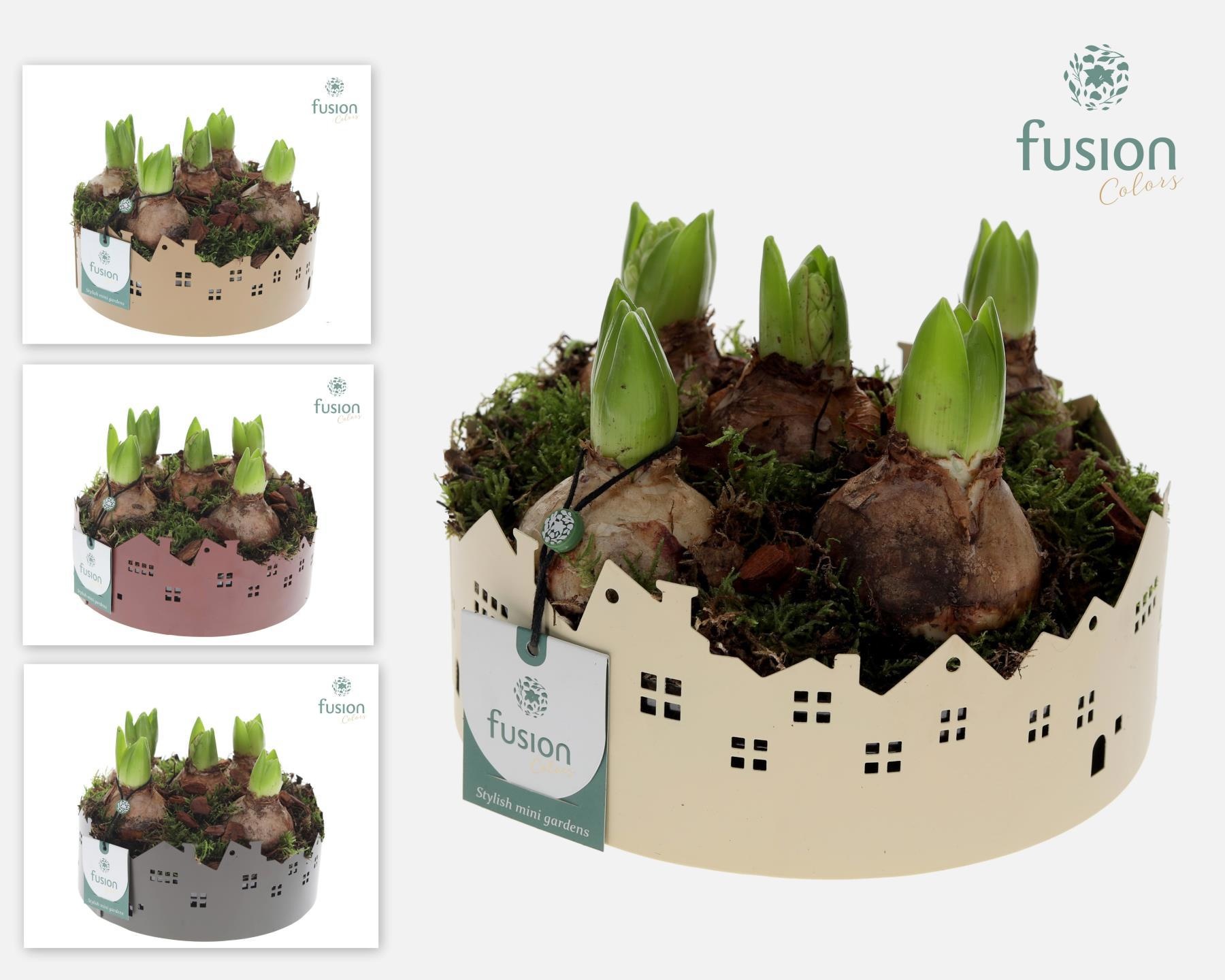 Zinken schaal Huisjes Medium Hyacinthus, D 19 cm