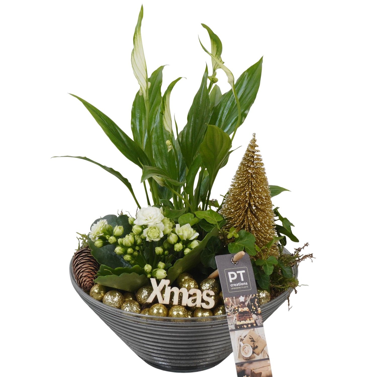 PTCHG5714 Arrangement Christmas Gold in glas schaal, D 19 cm