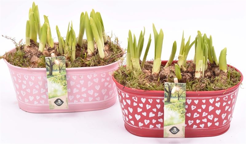 Zink ovaal hart decor 18x10cm, D 18