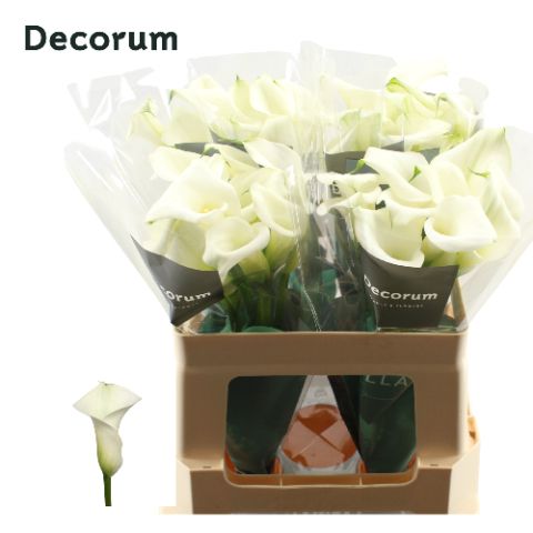 Калла Кристал Блаш 55, шт.