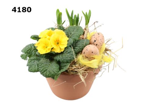 Pasen roodsteen azaleapot L, D 17