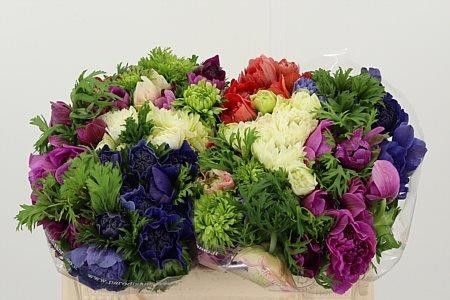 Анемон Микс в пачке 35, шт.