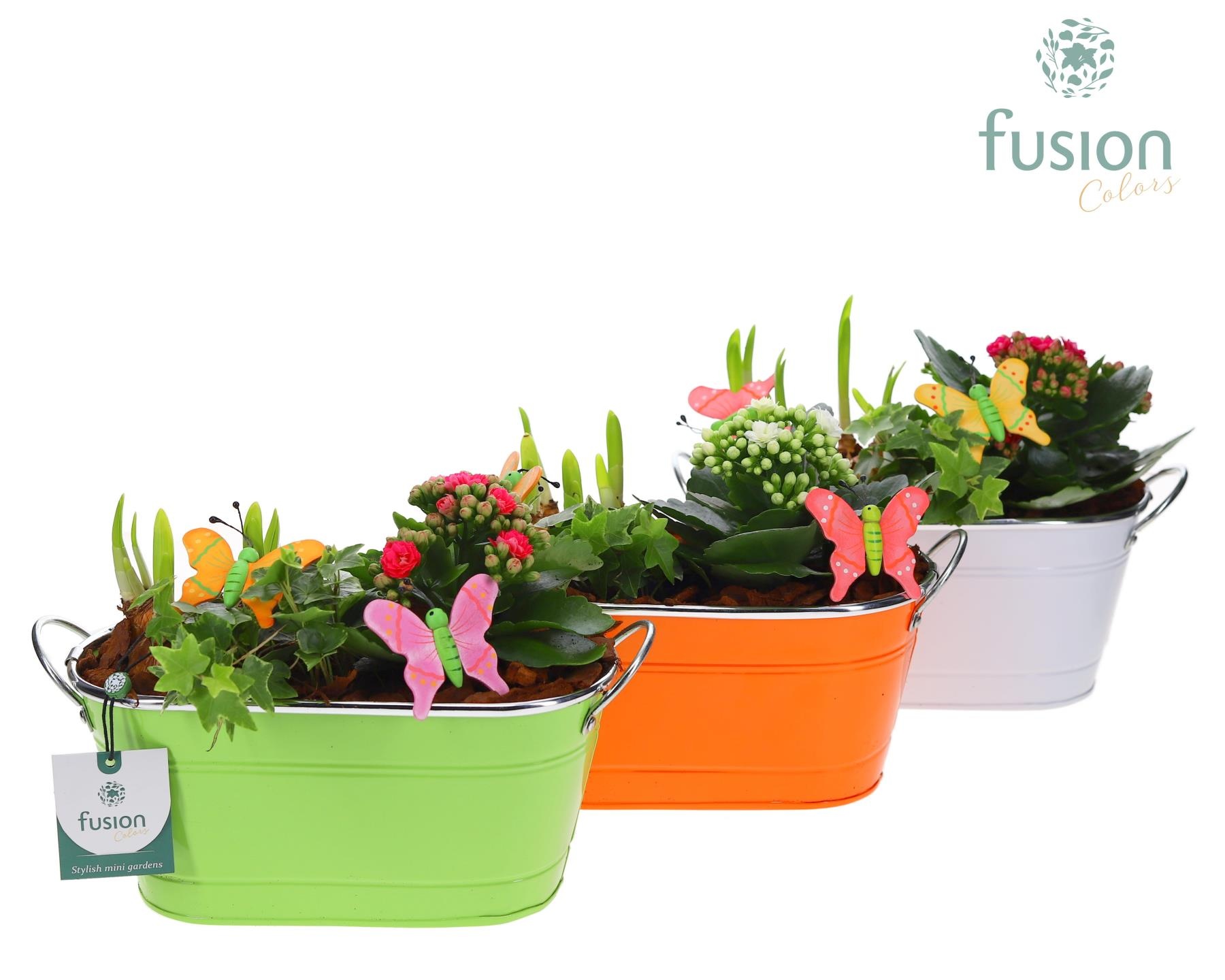 Zink schaal voorjaar div.kleuren met arrangement, D 25 cm