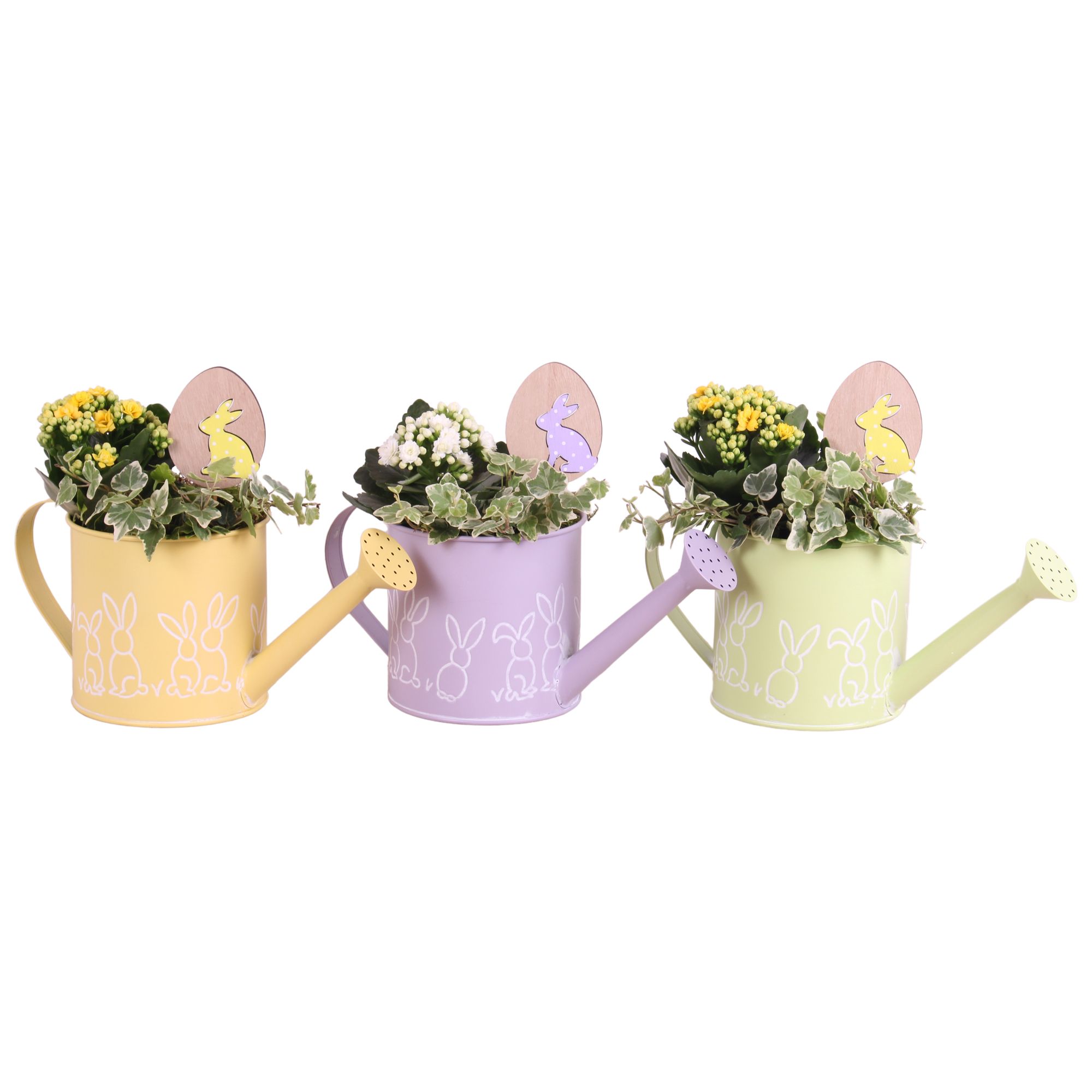 Easter Arr. Indoor Zinc Watering Can Bunny Relief Ø29cm 2PP, D 29