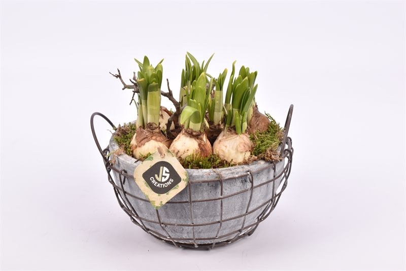 Gaasmand met terra schaal gy 21cm, D 22