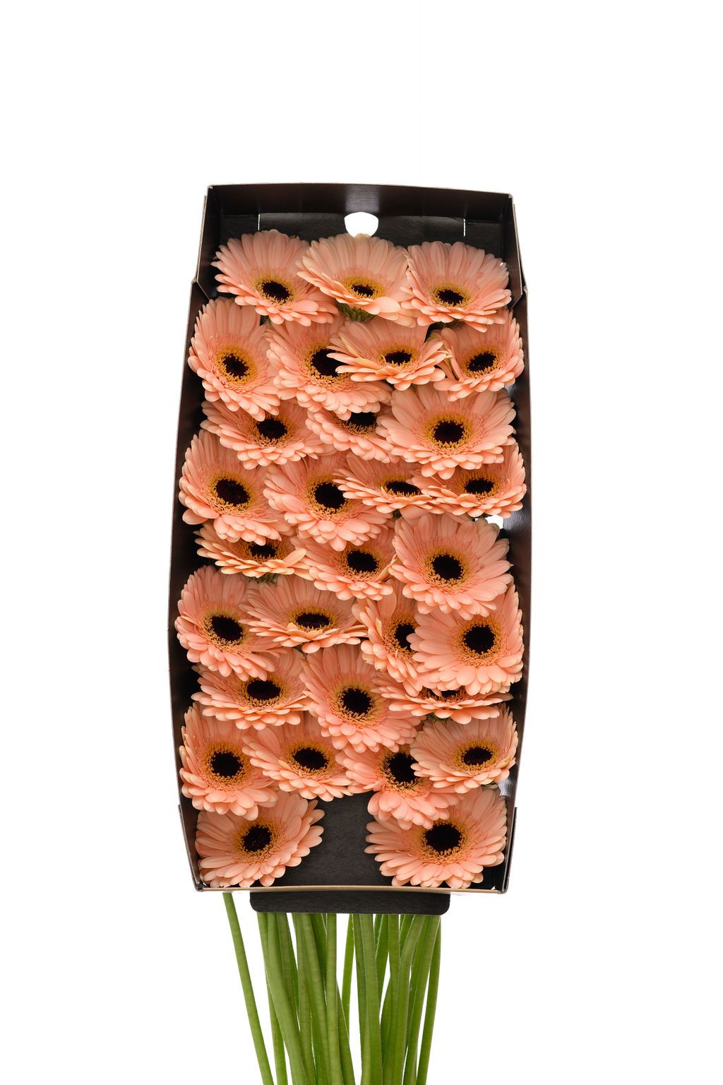 Гермини Эспрессо x60, шт.