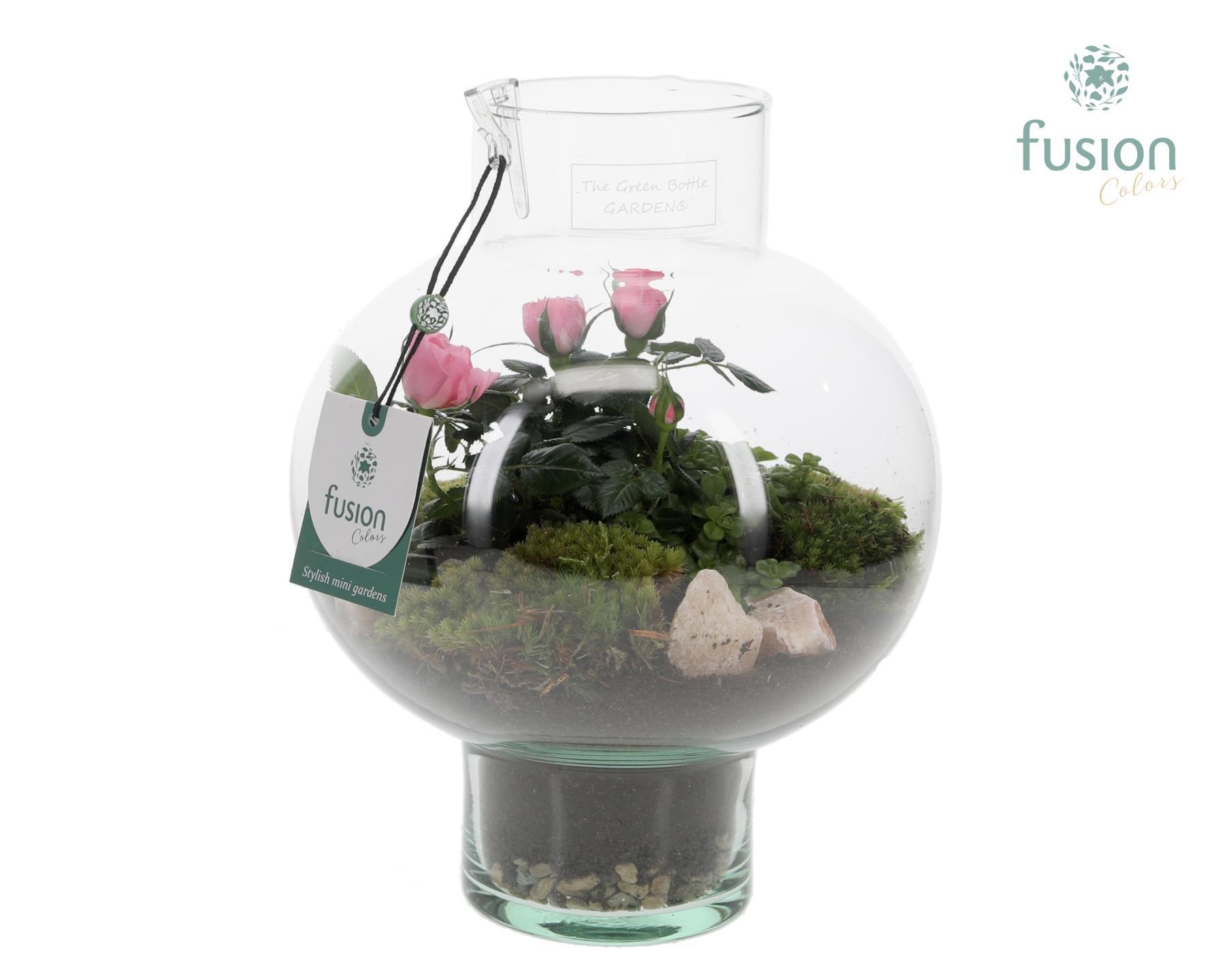 Green BottleLaura Small met arrangement, D 20