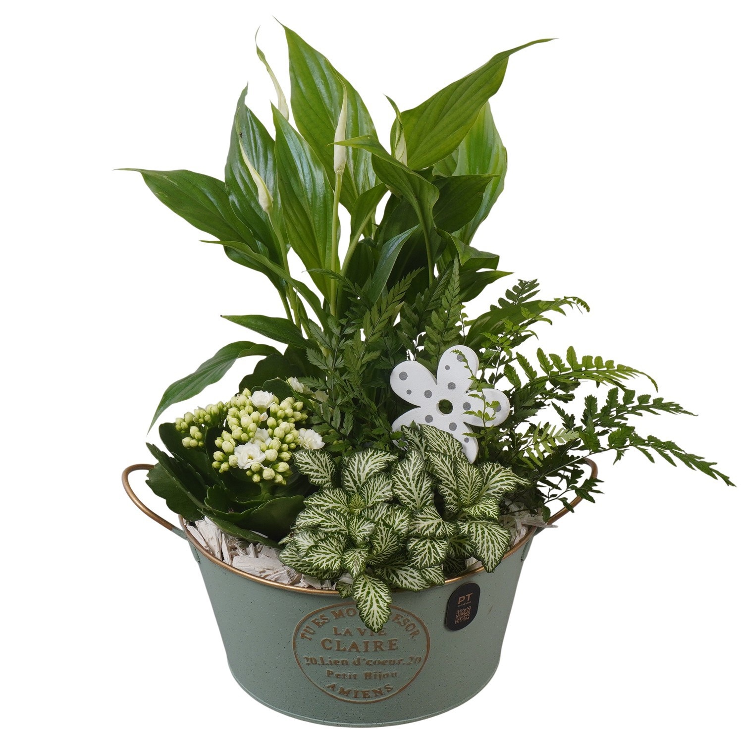 PTIB5306 Arrangement Indoor in metalen pot, D 20