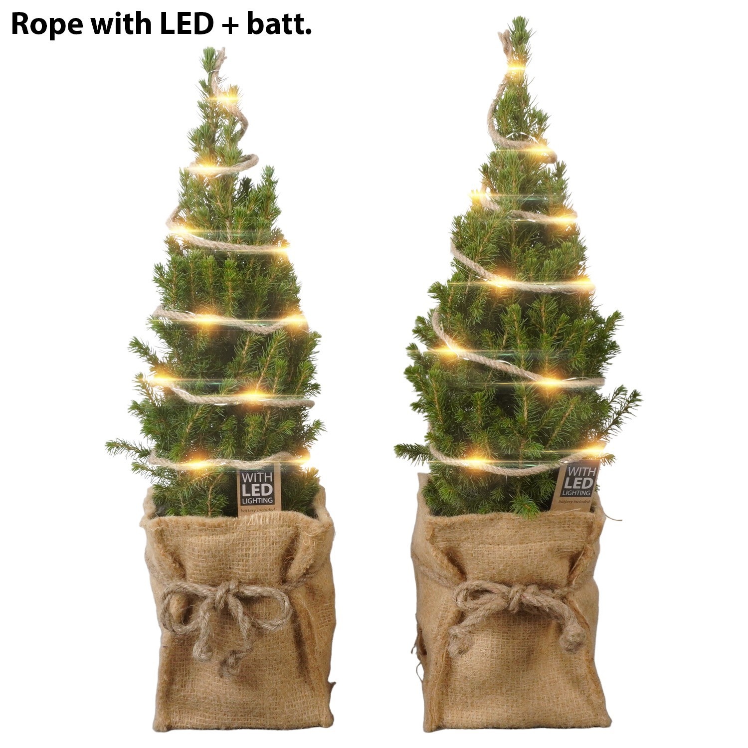 PTK26408 Conica Perfecta in jute met LED, D 16