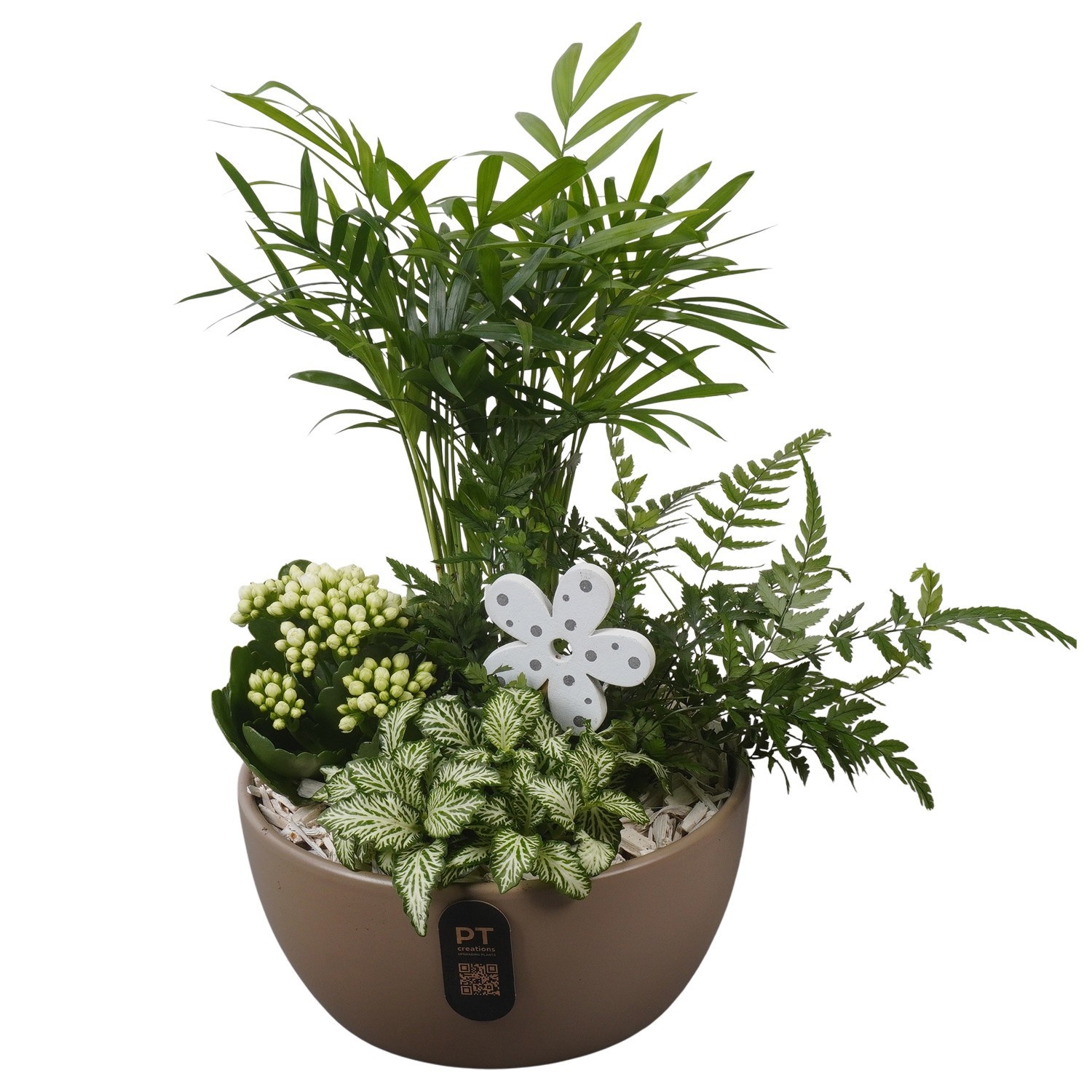 PTIB5163 Arrangement Indoor in keramiek schaal, D 18