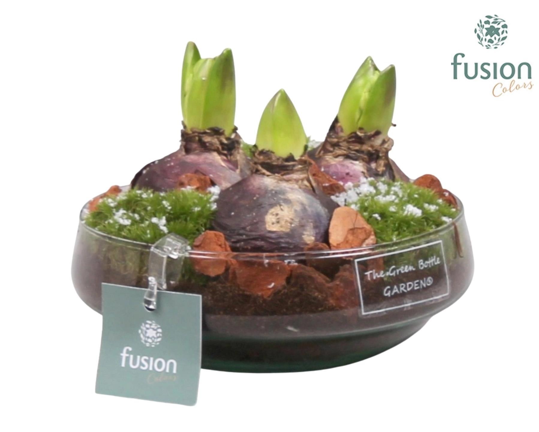 Green Bottle Iris Small met Hyacinten, D 15