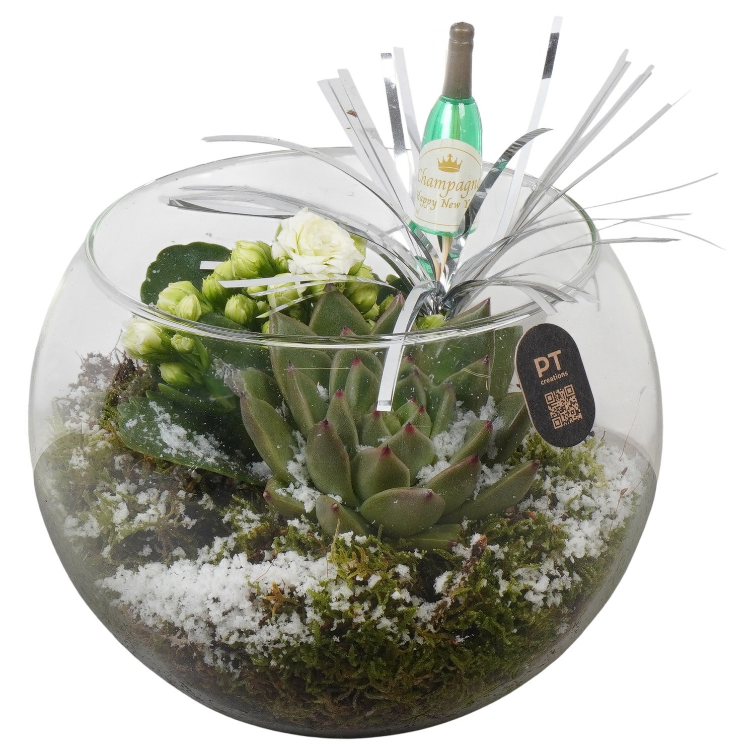 PTON6737 Arrangement New Year in glazen vissenkom, D 16