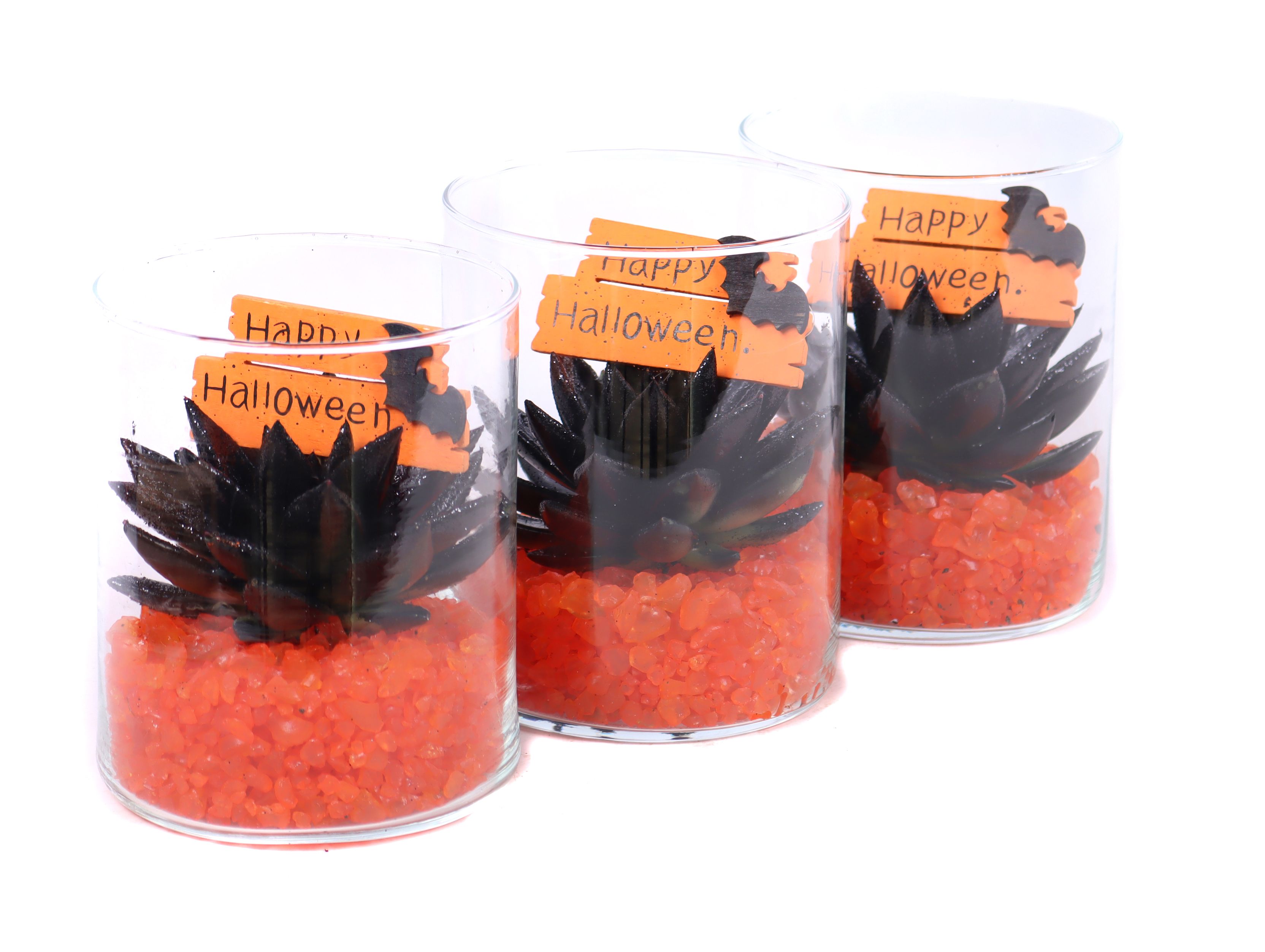 Opgemaakt cilinder glas met painted echeveia, steentjes, bijst, D 12 cm Opgemaakt cilinder glas met painted echeveia, steentjes, bijst, D 12 cm