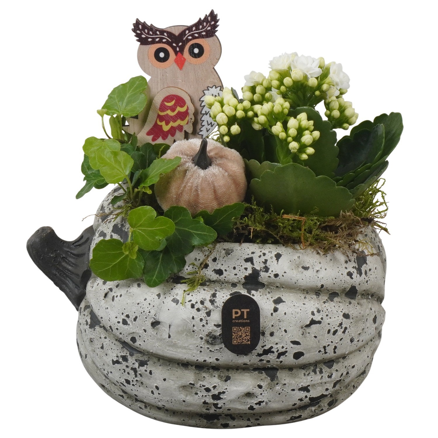 PTHI3263 Arrangement Autumn Indoor in beton pot, D 18