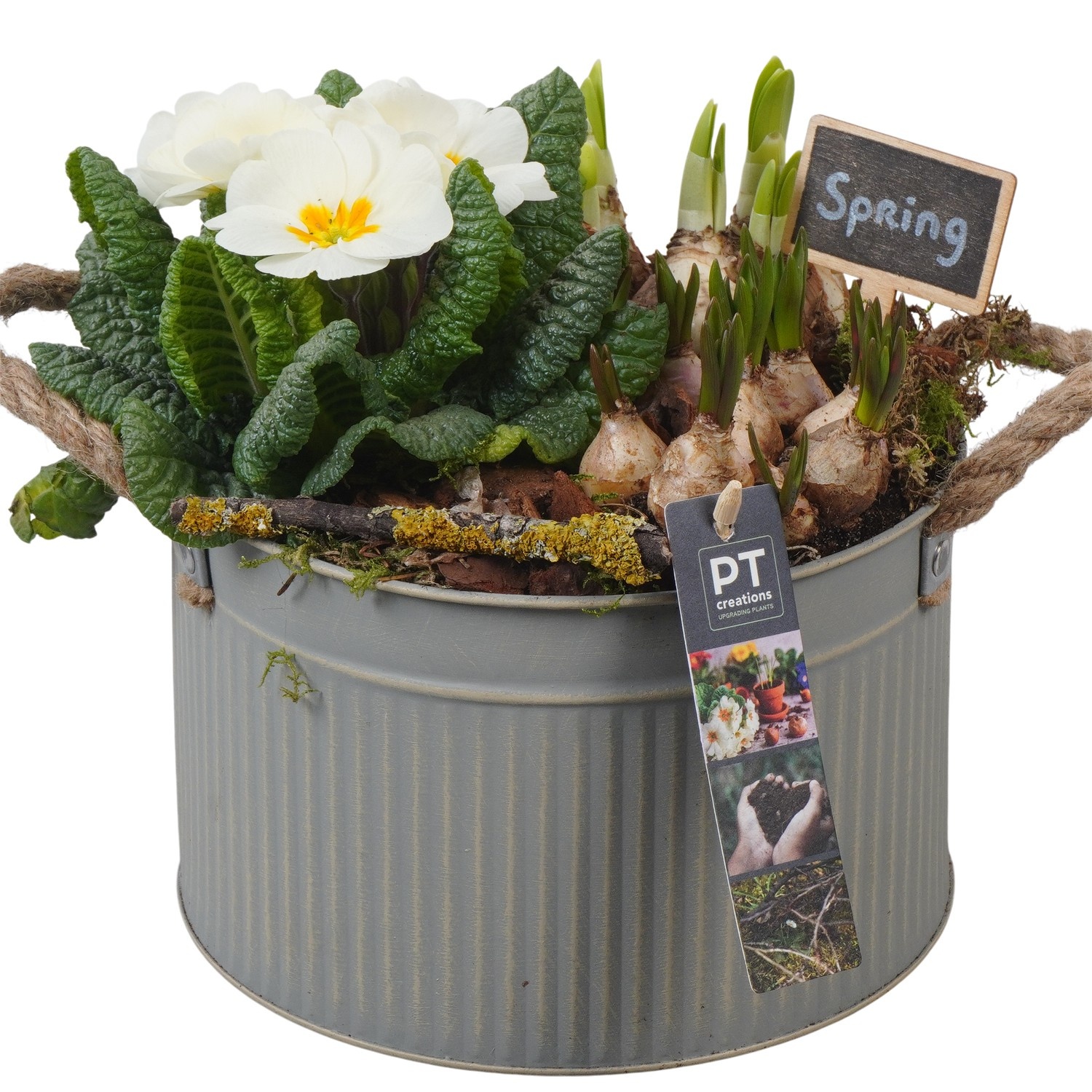 PTBM3783 Arrangement Flower Bulbs Mix in metalen pot, D 21