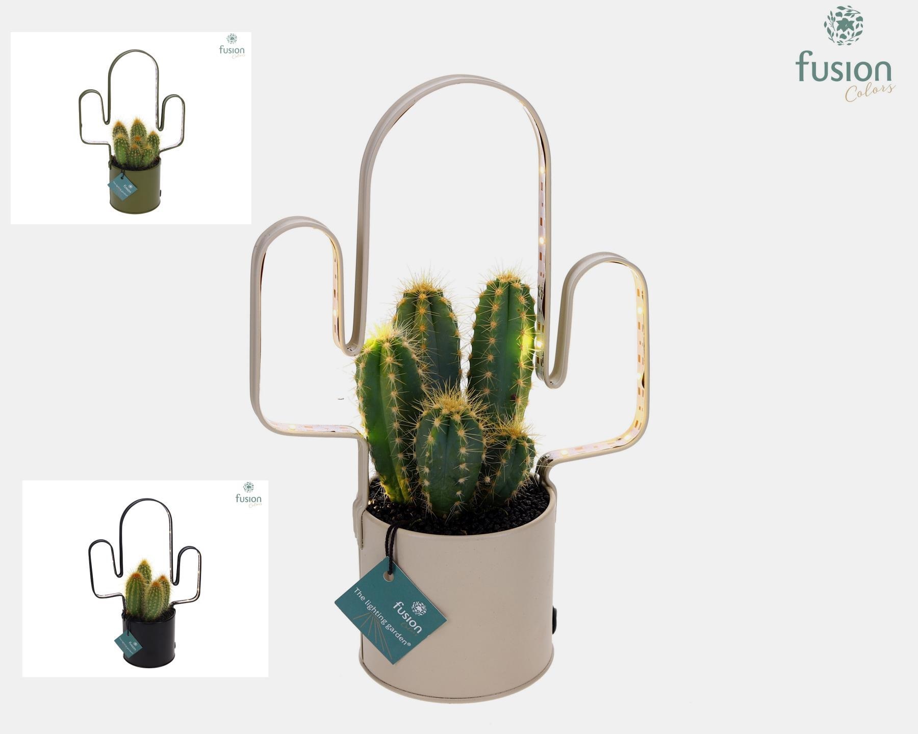 LED planter zink Cactusvorm met Cactus, D 19