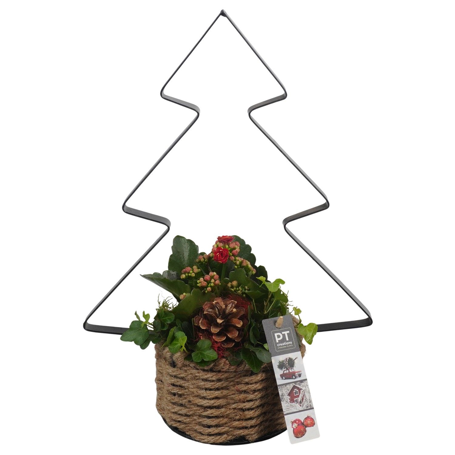 PTCHR7366 Arrangement Christmas Red in touw mand met metaal, D 14 cm