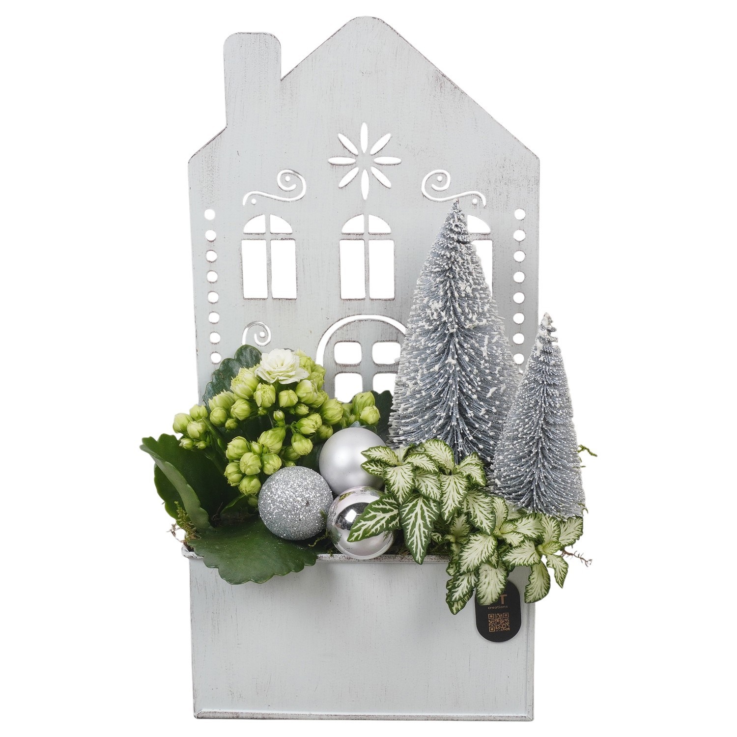 PTCHW7946 Arrangement Christmas White in metalen huis, D 15