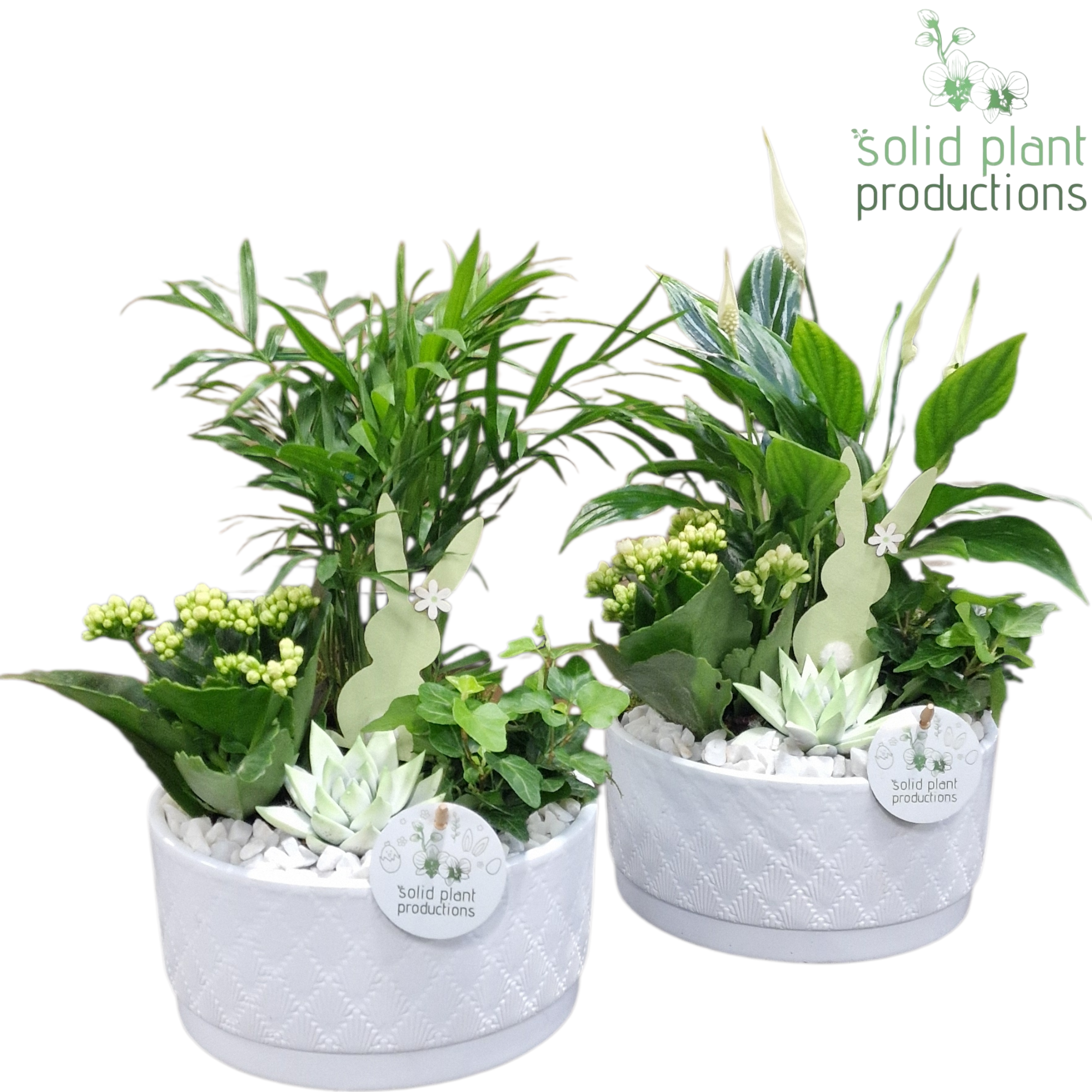 SCE003 Loes White Mix Easter, D 18