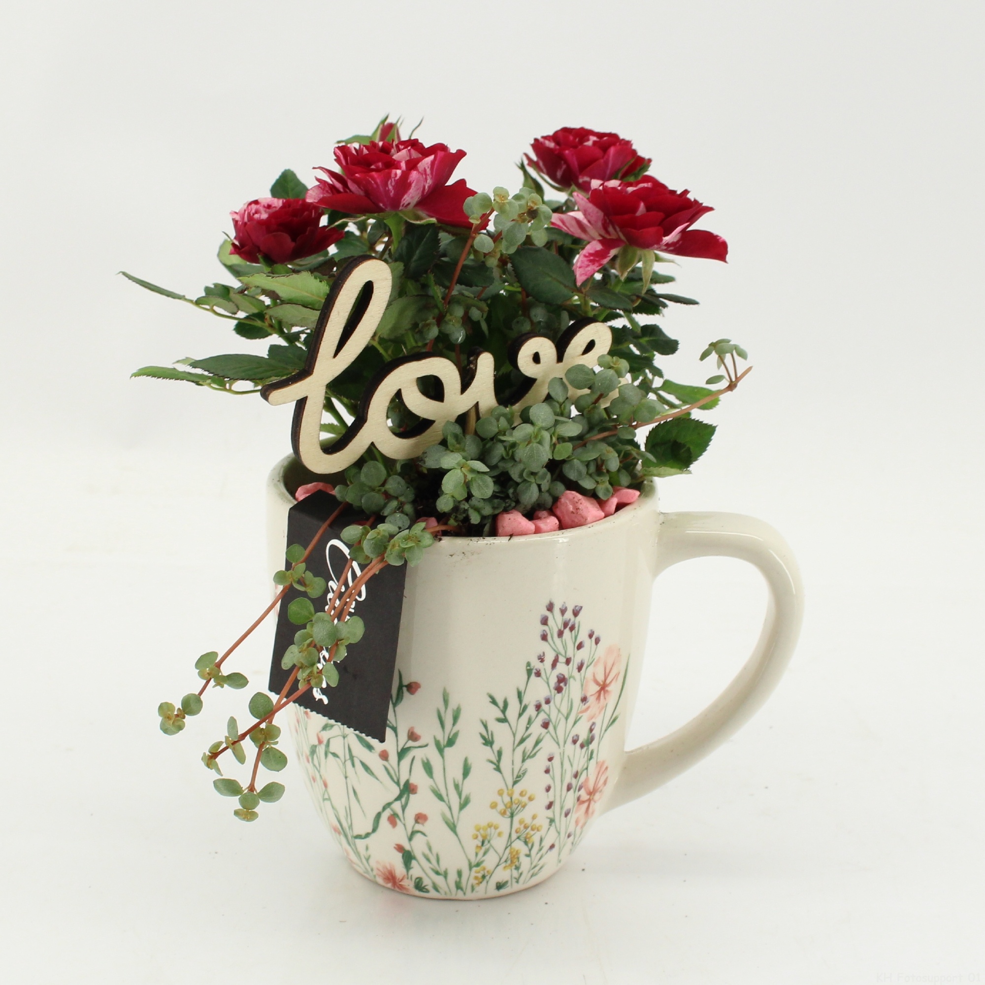 RMCR-2603A Romantic Essentials, D 11