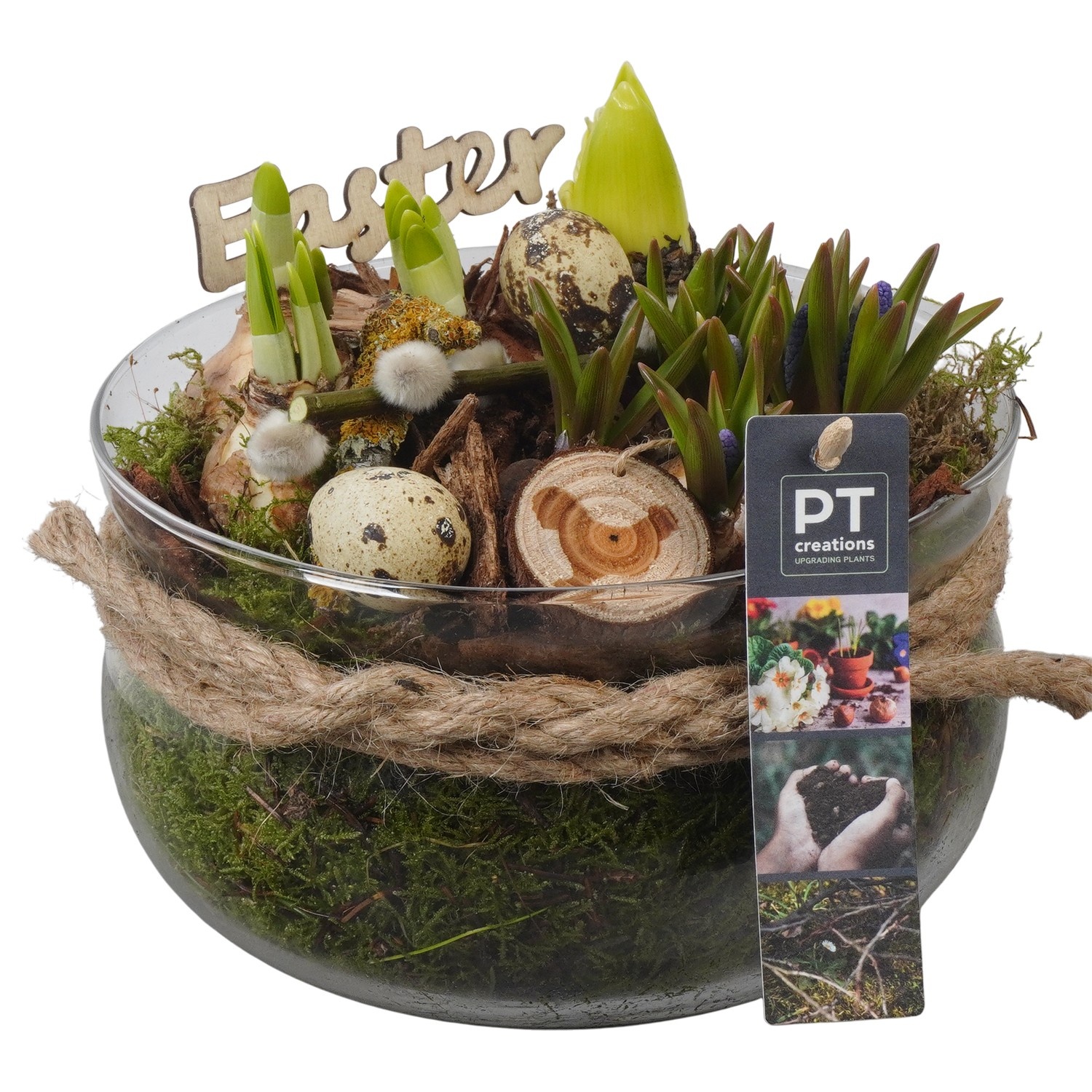 PTBMP5760 Arrangement Easter Bulbs Mix in glas schaal, D 19