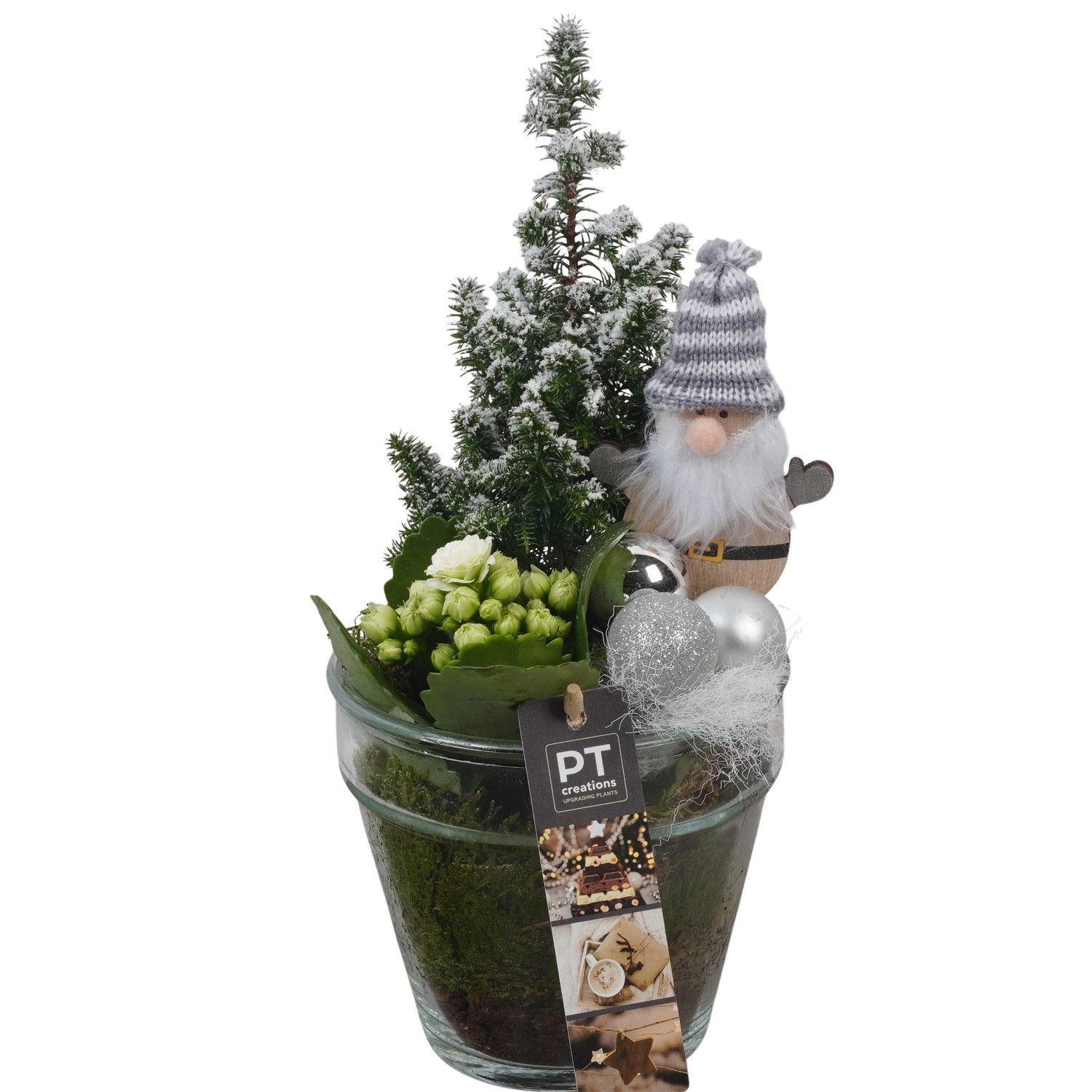 PTCHW4345 Arrangement Christmas White in glazen pot, D 13 cm