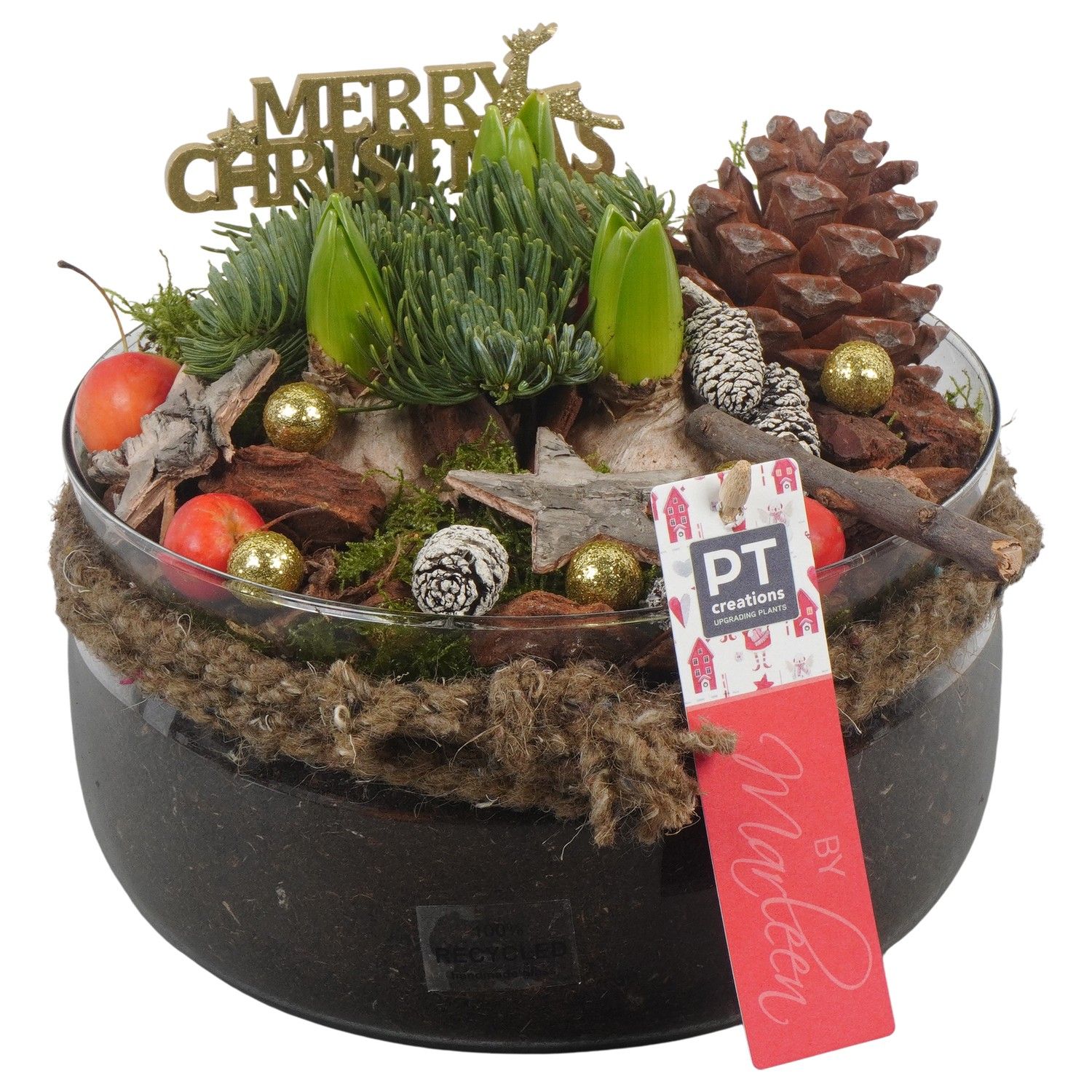 PTHCH6763 Arrangement Hyacint Christmas in glas schaal, D 19