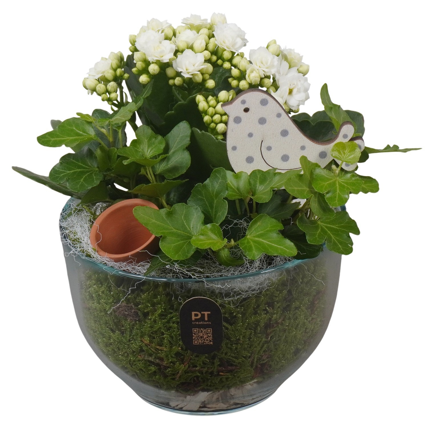 PTIG2644 Arrangement Indoor in glas schaal, D 13