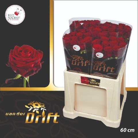 Роза од. Рэд Наоми 60, шт.
