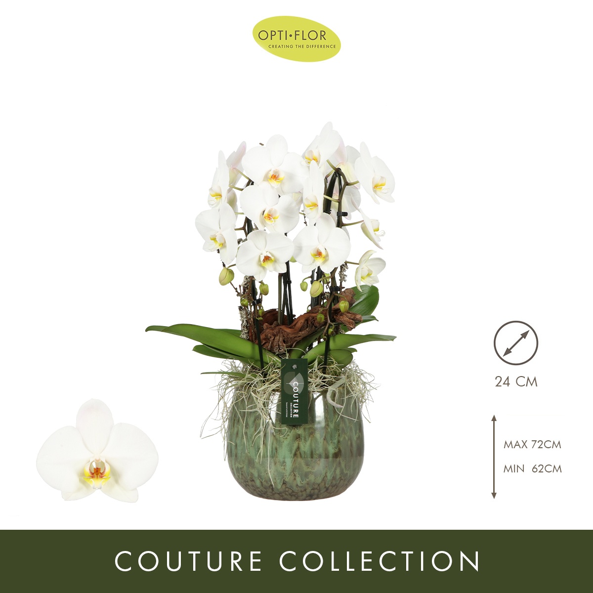 N°61 Fontano Versailles, D 23 cm N°61 Fontano Versailles, D 23 cm