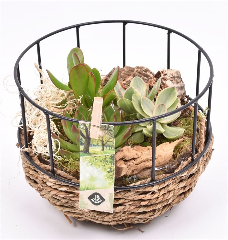 Gaasmand met touw 18cm, D 18