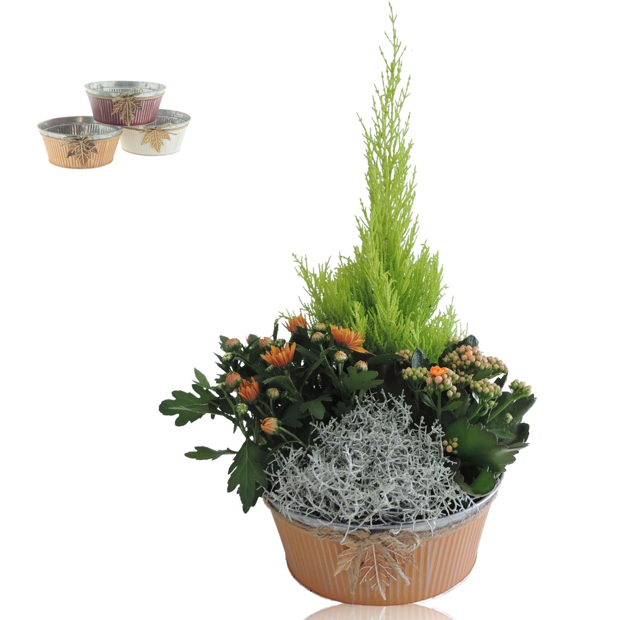 Collectie Autumn Leaf Arrangement in Zinken Schaal 25 cm, D 25