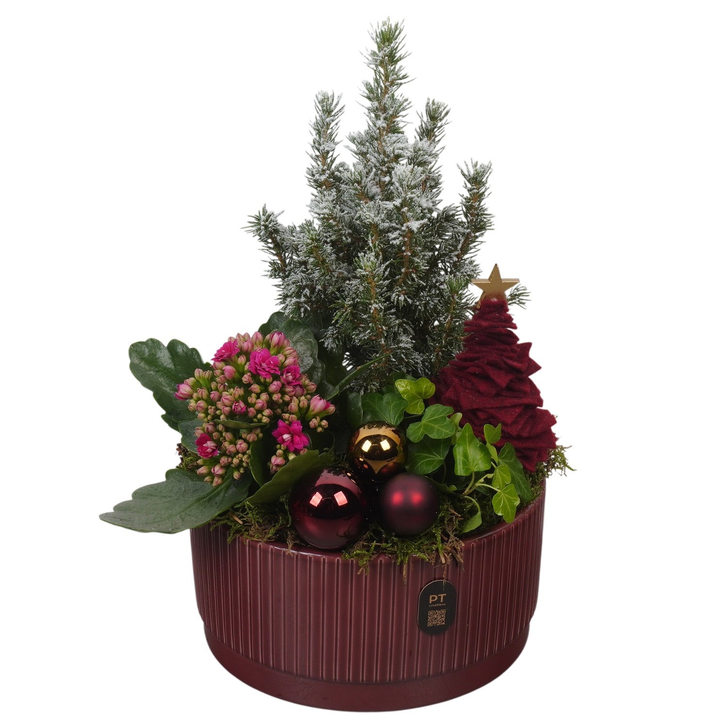PTCHBO4121 Arrangement Christmas Bordeaux in keramiek schaal, D 19