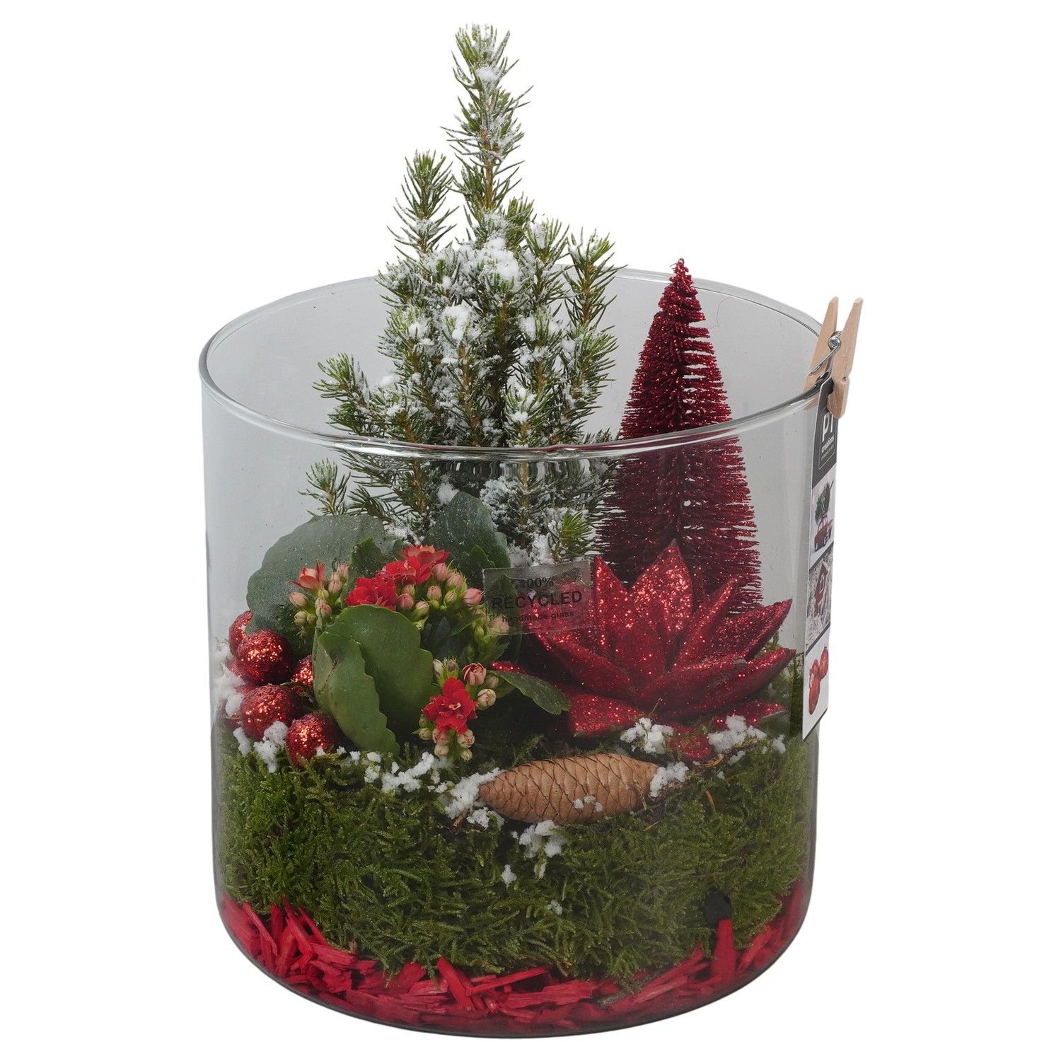 PTCHR7472 Arrangement Christmas Red in glazen pot, D 19 cm