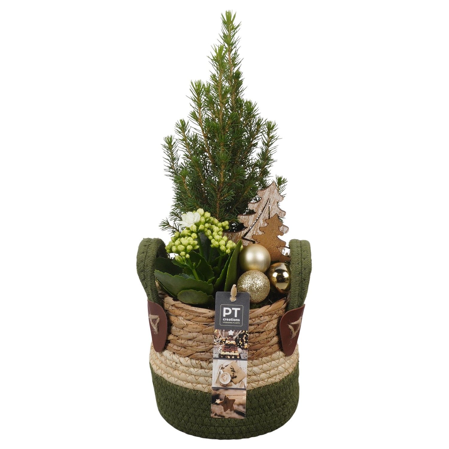 PTCHG5688 Arrangement Christmas Gold in rieten mand, D 13 cm